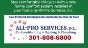 All Professional Service