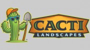 Cacti Landscapes