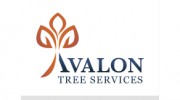 Avalon Tree Services