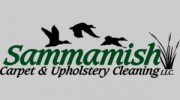 Sammamish Carpet & Upholstery Cleaning