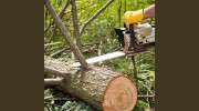 Farrell's Stump Grinding