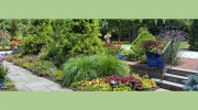 Dishler Landscaping