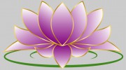 Lotus Cleaning Services