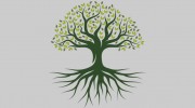 El Paso Tree Removal
