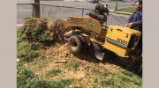 Avenue Demolition & Tree Services