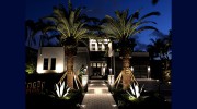 Miami Landscape Lighting